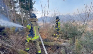 Japan deploys nearly 1,700 firefighters to tackle forest blaze