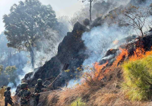 Palpa fire causes damages to four community forests