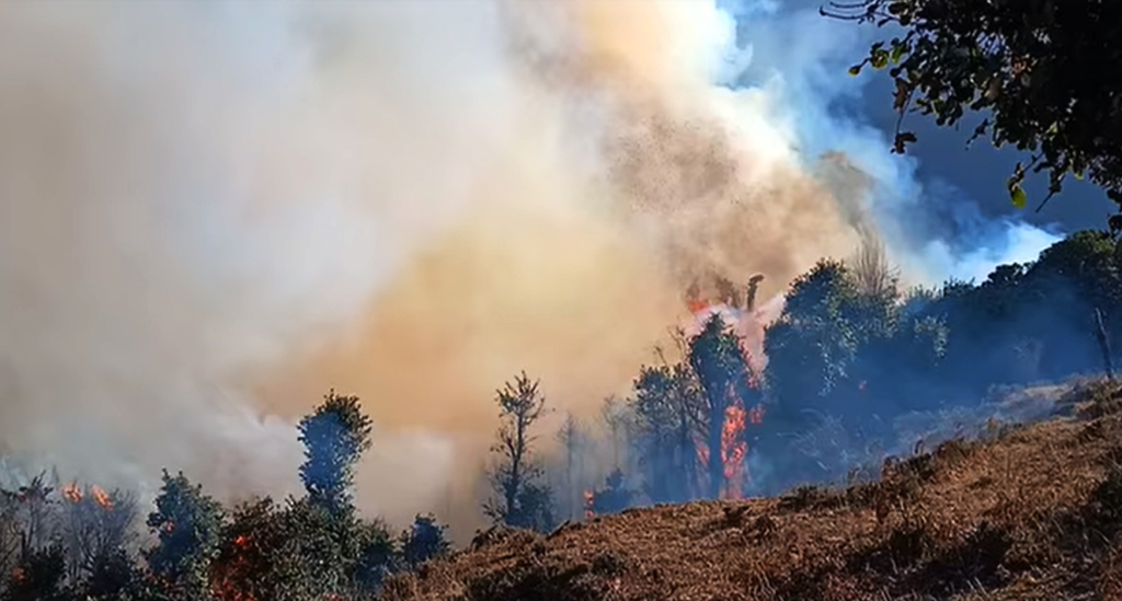Efforts on to douse fire at Gorakhnath community forest in Kavre