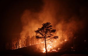 Wildfires ravage southern South Korea, killing 18 people and forcing 27,000 to evacuate