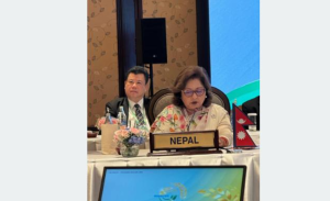 BIMSTEC should uphold spirit of regional unity and collective cooperation: Minister Dr Rana