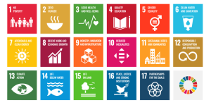 Nepal requires Rs 21.065 trillion to implement SDGs goals: NPC