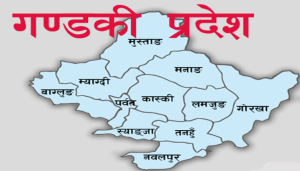 Disaster preparedness and response plan developed at 12 satellite hospitals in Gandaki