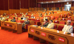 Bill designed to amend some Nepal Acts, 2081 passed