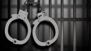 Japan arrests four for obscene AI images