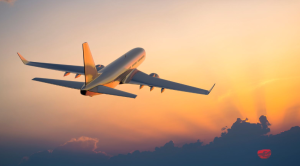 India suspends flights at 24 airports