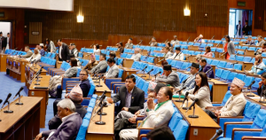 Lawmakers Urge Government Action on Agriculture, Gold Smuggling, Judiciary, and Social Security in HoR Session