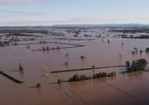 Over 10,000 properties damaged in floodwaters in southeast Australia: emergency authority