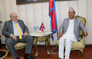 Energy Minister Khadka, Non-resident Ambassador of Uruguay, Guani, meet
