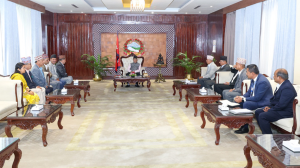 Prime Minister Oli briefed about Land Commission’s work progress