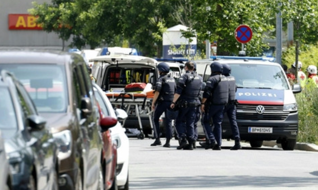 Death toll rises to 9 in Austria school shooting: media