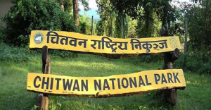 ‘Spy camera’ installed around CNP for poaching control