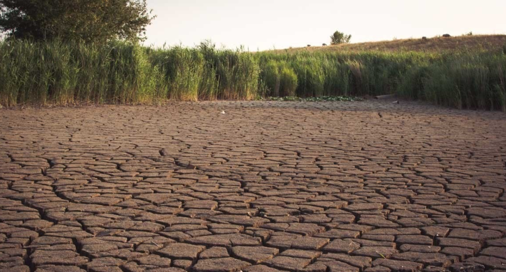 HoR session: Lawmakers call for declaring Terai/Madhesh as drought-hit zone