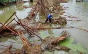 Death toll rises to 216 as monsoon wreaks havoc in Pakistan