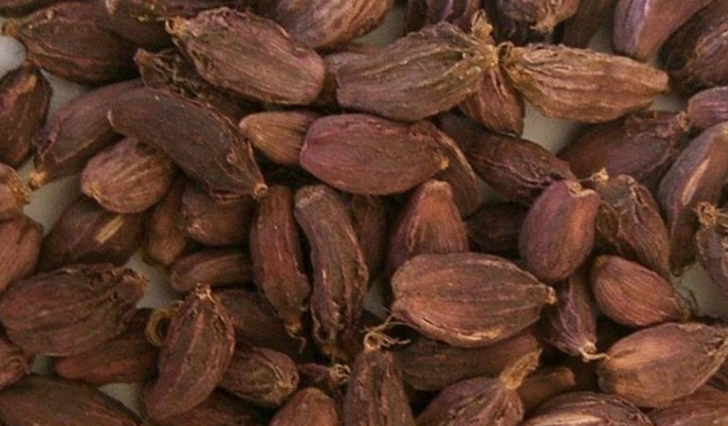 Cardamom worth Rs 7.67 billion exported from Kakadbhitta customs point