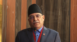 ‘Party should be established thru social organisation’