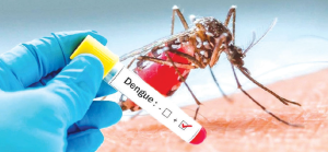 20 cases of dengue fever recorded in 15 days in Chitwan