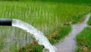 60,367 hectares of fertile land gets irrigation facility in Dang
