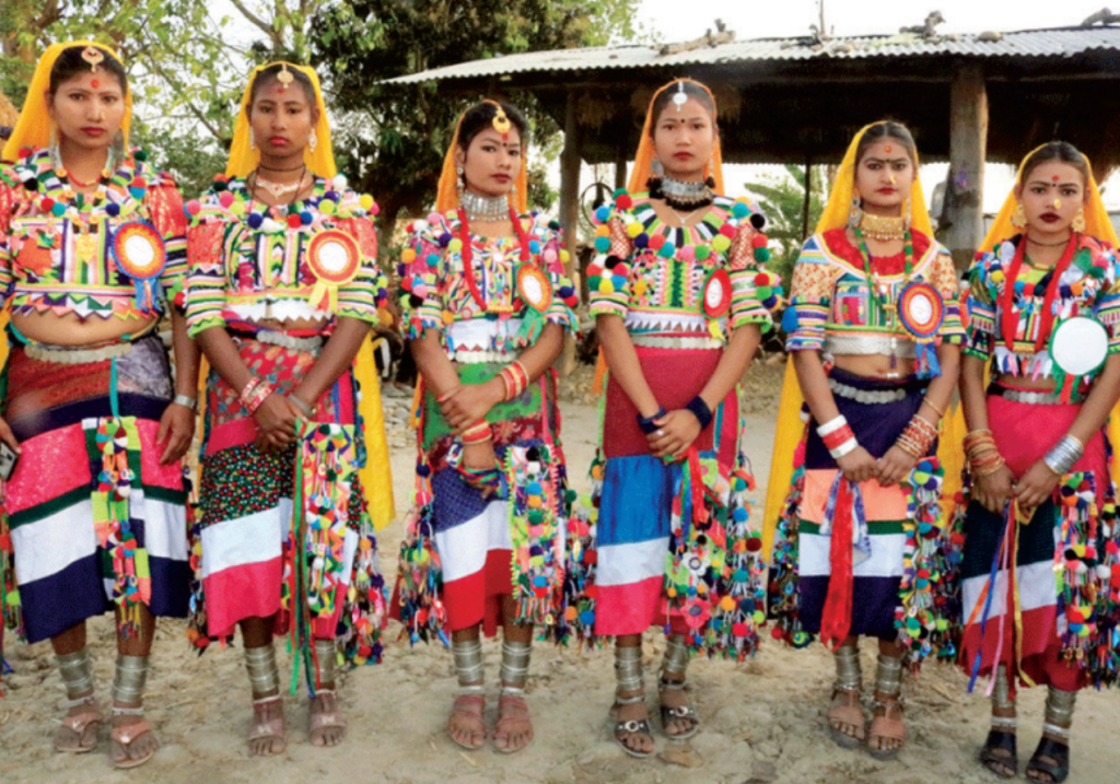 HoR Member Chaudhary urges for recognition of Tharu language