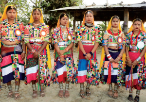 HoR Member Chaudhary urges for recognition of Tharu language