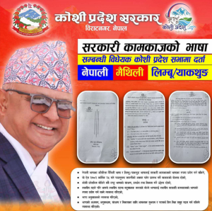 Preparation afoot to use Limbu and Maithili in govt businesses, demand to include Tharu language
