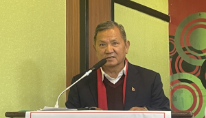 Law to regulate social networks: Minister Gurung