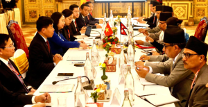 Vice President of Vietnam meets with Vice President Yadav