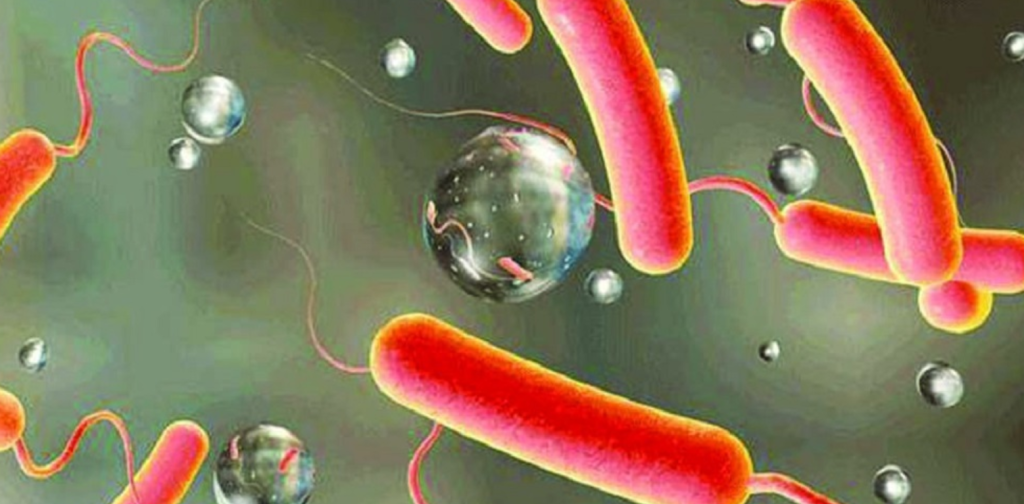 Cholera detected among 93 persons in Birgunj