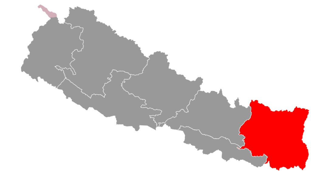 Koshi Province doles out Rs 88.5 million in economic assistance for patients with chronic diseases last fiscal year