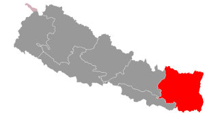Koshi Province doles out Rs 88.5 million in economic assistance for patients with chronic diseases last fiscal year