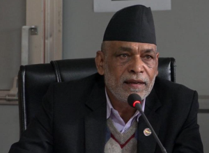 Fertilizer will be available in next ten days: Agriculture Minister