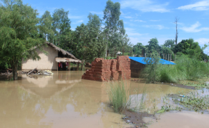 Flood inundates 45 houses in Kanchanpur, water-level in Mahakali rises