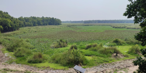 Scourge of climate change: Lakes in Shuklaphanta National Park drying up