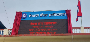 Authority directs to resume insurance-related services in person