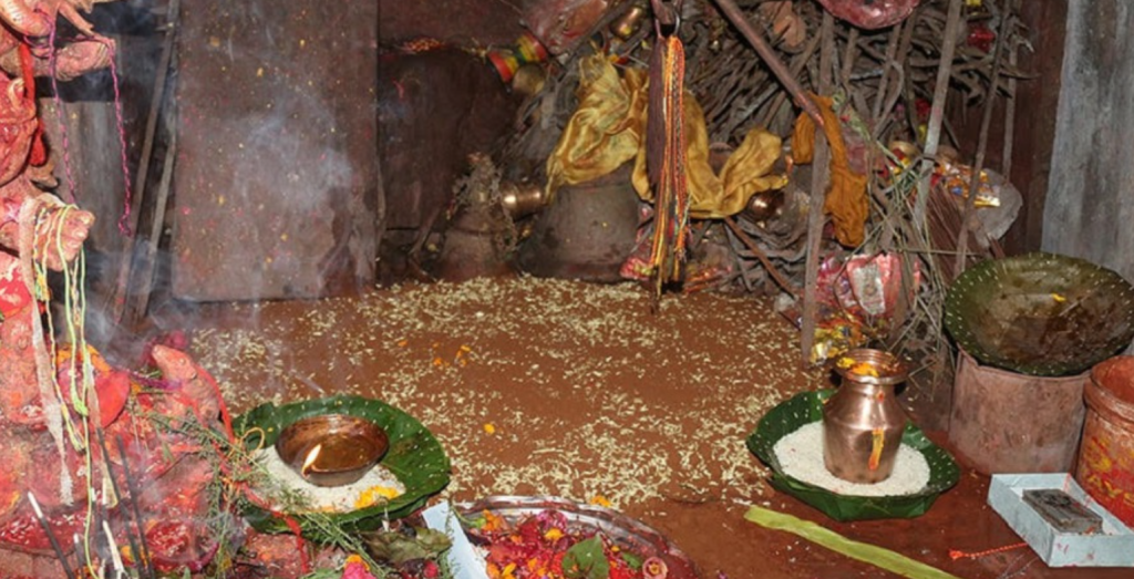 Jamara sowed in Gorkhadurbar