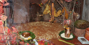 Jamara sowed in Gorkhadurbar