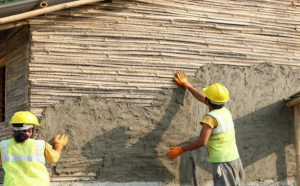 Govt issues guidelines on construction of bamboo structures for the first time