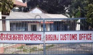 Birgunj metropolis’ revenue collection exceeds Rs 210mn in first four months of FY