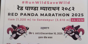 Red Panda Marathon: Gajendra and Nirmala win title