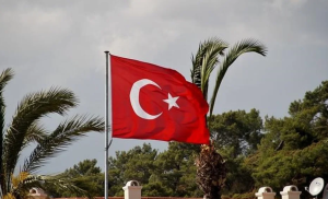 Türkiye detains 55 migrant smugglers in nationwide raids