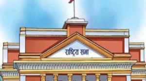 National Assembly election: Election officers appointed