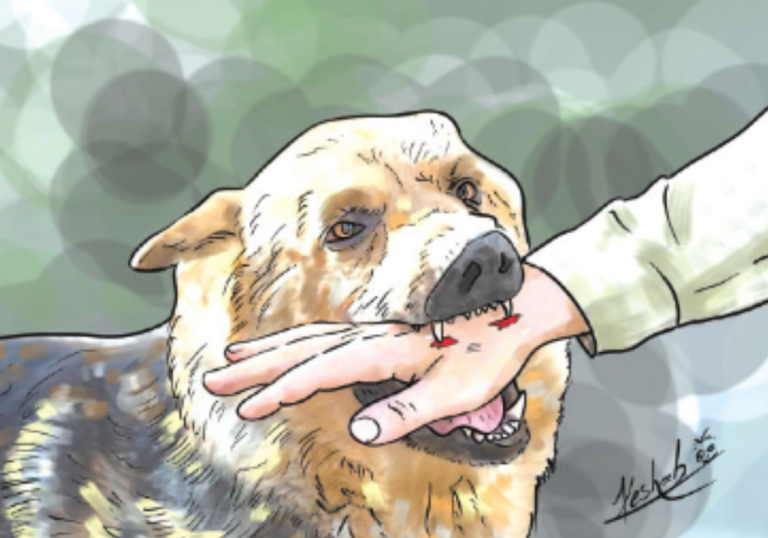 Rabies infection challenge increasing in Sudurpaschim