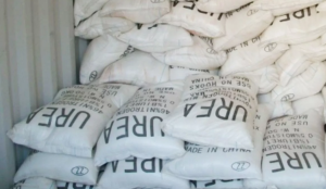 Government supplies 243 thousand metric tonnes chemical fertiliser to farmers