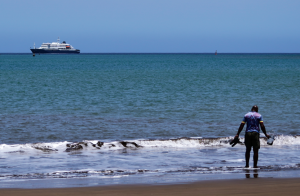 WHO confirms 2nd hantavirus case on Dutch cruise ship