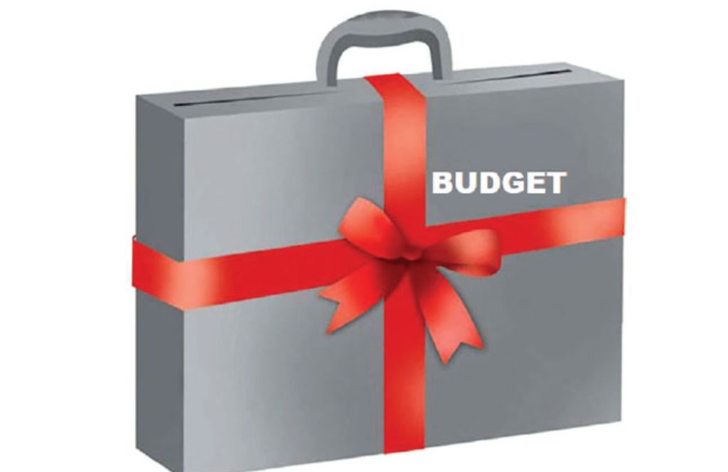 Budget for next fiscal is reform-oriented, says Nepal Development Watch