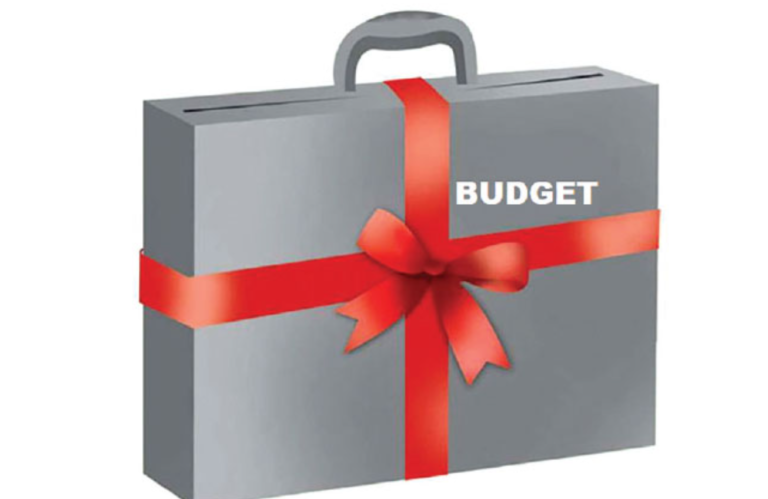 Budget for next fiscal is reform-oriented, says Nepal Development Watch