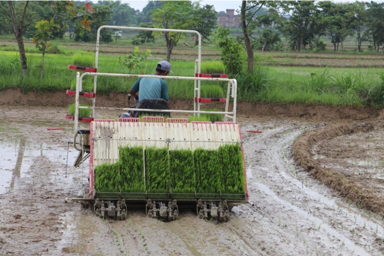 Technology applied in paddy plantation in Nawalparasi